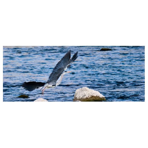 PHOTO84, CLUB, 84 , LUBERON